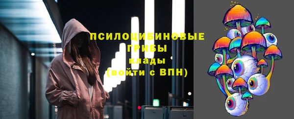 твердый Осташков