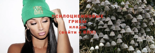 a pvp Пестово