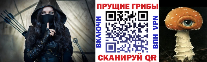 Псилоцибиновые грибы GOLDEN TEACHER  купить наркотики сайты  Зубцов 